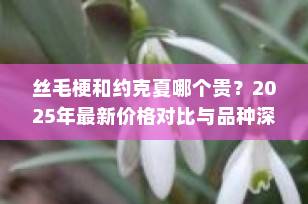 丝毛梗和约克夏哪个贵？2025年最新价格对比与品种深度解析