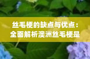 丝毛梗的缺点与优点：全面解析澳洲丝毛梗是否适合你家？
