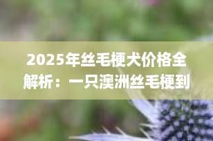 2025年丝毛梗犬价格全解析：一只澳洲丝毛梗到底多少钱？