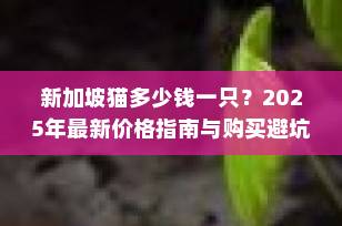 新加坡猫多少钱一只？2025年最新价格指南与购买避坑全攻略