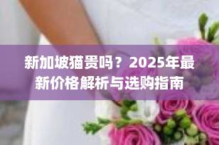 新加坡猫贵吗？2025年最新价格解析与选购指南