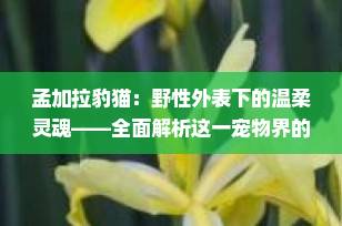 孟加拉豹猫：野性外表下的温柔灵魂——全面解析这一宠物界的新宠