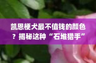 凯恩梗犬最不值钱的颜色？揭秘这种“石堆猎手”的毛色真相！