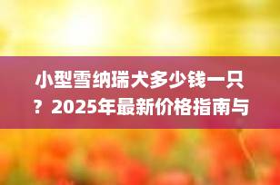 小型雪纳瑞犬多少钱一只？2025年最新价格指南与选购全攻略