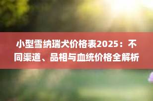 小型雪纳瑞犬价格表2025：不同渠道、品相与血统价格全解析（附饲养成本）
