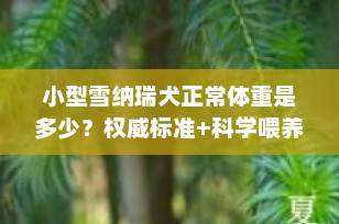 小型雪纳瑞犬正常体重是多少？权威标准+科学喂养全解析（2025最新版）