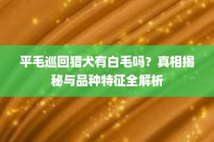 平毛巡回猎犬有白毛吗？真相揭秘与品种特征全解析