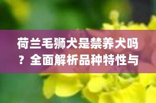 荷兰毛狮犬是禁养犬吗？全面解析品种特性与饲养政策（2025最新指南）