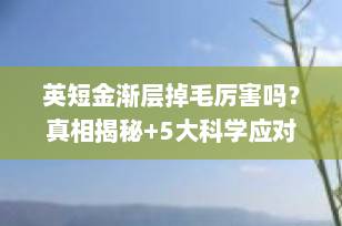 英短金渐层掉毛厉害吗？真相揭秘+5大科学应对策略（2025最新版）