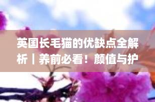 英国长毛猫的优缺点全解析｜养前必看！颜值与护理的平衡艺术