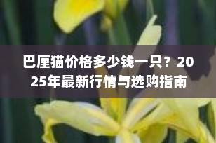 巴厘猫价格多少钱一只？2025年最新行情与选购指南