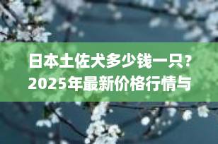 日本土佐犬多少钱一只？2025年最新价格行情与饲养全解析