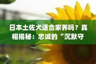 日本土佐犬适合家养吗？真相揭秘：忠诚的“沉默守护者”还是危险的禁养猛犬？