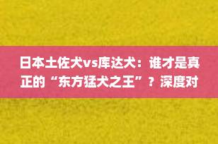 日本土佐犬vs库达犬：谁才是真正的“东方猛犬之王”？深度对比揭秘！