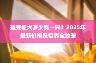 捷克梗犬多少钱一只？2025年最新价格及饲养全攻略