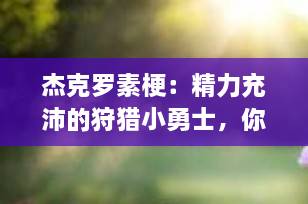 杰克罗素梗：精力充沛的狩猎小勇士，你真的了解它吗？