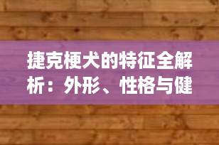 捷克梗犬的特征全解析：外形、性格与健康，一文读懂这个独特的小型猎犬