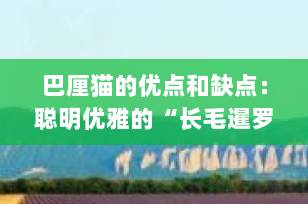 巴厘猫的优点和缺点：聪明优雅的“长毛暹罗”适合你家吗？