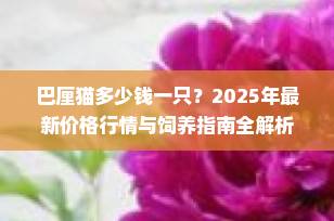 巴厘猫多少钱一只？2025年最新价格行情与饲养指南全解析