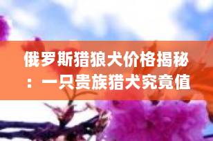 俄罗斯猎狼犬价格揭秘：一只贵族猎犬究竟值多少钱？