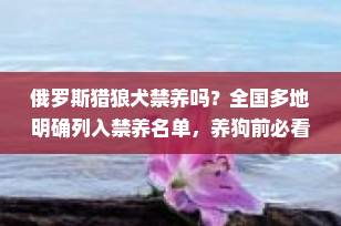 俄罗斯猎狼犬禁养吗？全国多地明确列入禁养名单，养狗前必看！