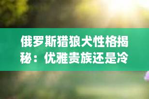 俄罗斯猎狼犬性格揭秘：优雅贵族还是冷漠孤傲？全面解析苏俄猎狼犬的性格特征与饲养要点