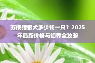 苏俄猎狼犬多少钱一只？2025年最新价格与饲养全攻略