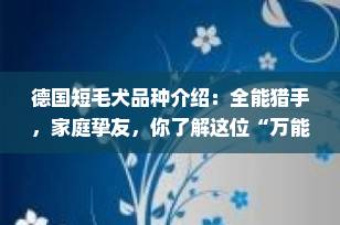 德国短毛犬品种介绍：全能猎手，家庭挚友，你了解这位“万能型”伙伴吗？