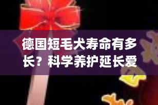 德国短毛犬寿命有多长？科学养护延长爱犬生命的关键秘诀