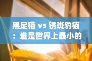 黑足猫 vs 锈斑豹猫：谁是世界上最小的猫？揭秘两种迷你“猫中蜂鸟”的惊人真相