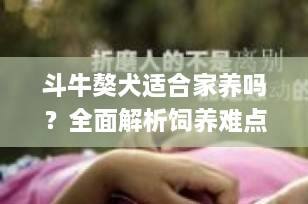 斗牛獒犬适合家养吗？全面解析饲养难点与家庭适应性（2025最新指南）