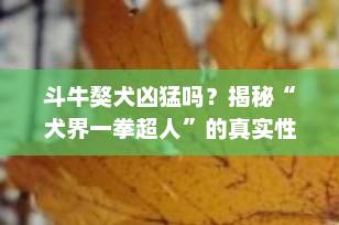 斗牛獒犬凶猛吗？揭秘“犬界一拳超人”的真实性格与饲养指南