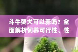 斗牛獒犬可以养吗？全面解析饲养可行性、性格特点与注意事项（2025最新指南）