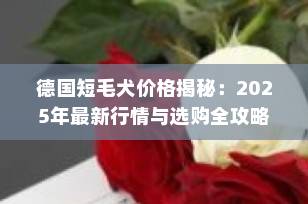德国短毛犬价格揭秘：2025年最新行情与选购全攻略