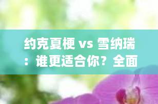 约克夏梗 vs 雪纳瑞：谁更适合你？全面对比两大热门小型犬，选宠必看！