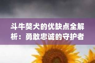 斗牛獒犬的优缺点全解析：勇敢忠诚的守护者，你适合养吗？