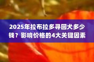 2025年拉布拉多寻回犬多少钱？影响价格的4大关键因素全解析