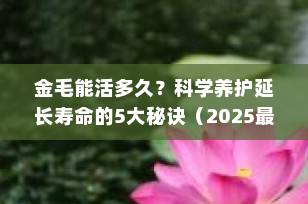 金毛能活多久？科学养护延长寿命的5大秘诀（2025最新指南）