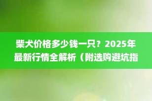 柴犬价格多少钱一只？2025年最新行情全解析（附选购避坑指南）