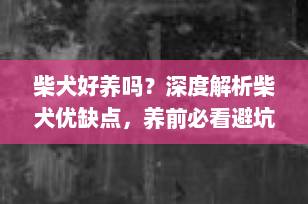 柴犬好养吗？深度解析柴犬优缺点，养前必看避坑指南！