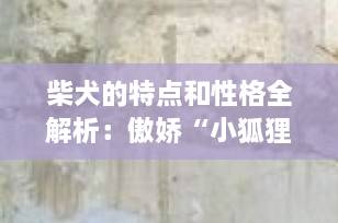 柴犬的特点和性格全解析：傲娇“小狐狸”为何让人又爱又恨？