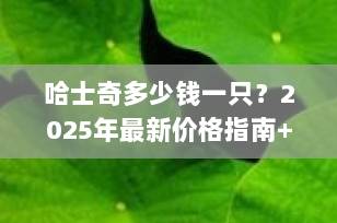 哈士奇多少钱一只？2025年最新价格指南+避坑全攻略