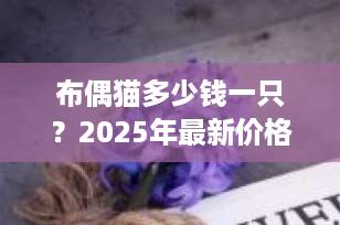 布偶猫多少钱一只？2025年最新价格行情+挑选避坑指南（收藏级）