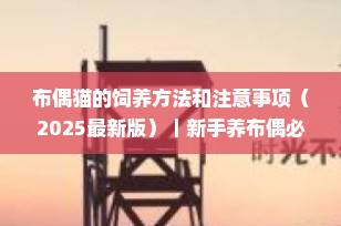 布偶猫的饲养方法和注意事项（2025最新版）｜新手养布偶必看纯干货指南