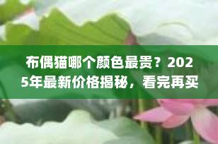 布偶猫哪个颜色最贵？2025年最新价格揭秘，看完再买不吃亏！