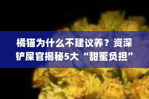 橘猫为什么不建议养？资深铲屎官揭秘5大“甜蜜负担”，新手必看！
