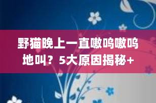 野猫晚上一直嗷呜嗷呜地叫？5大原因揭秘+科学应对方法（2025最新版）