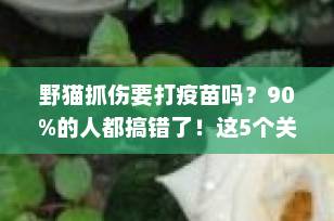 野猫抓伤要打疫苗吗？90%的人都搞错了！这5个关键点必须知道