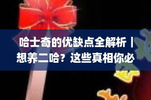 哈士奇的优缺点全解析｜想养二哈？这些真相你必须知道！