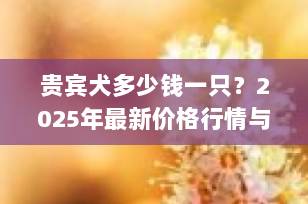贵宾犬多少钱一只？2025年最新价格行情与选购全攻略（附养护成本）